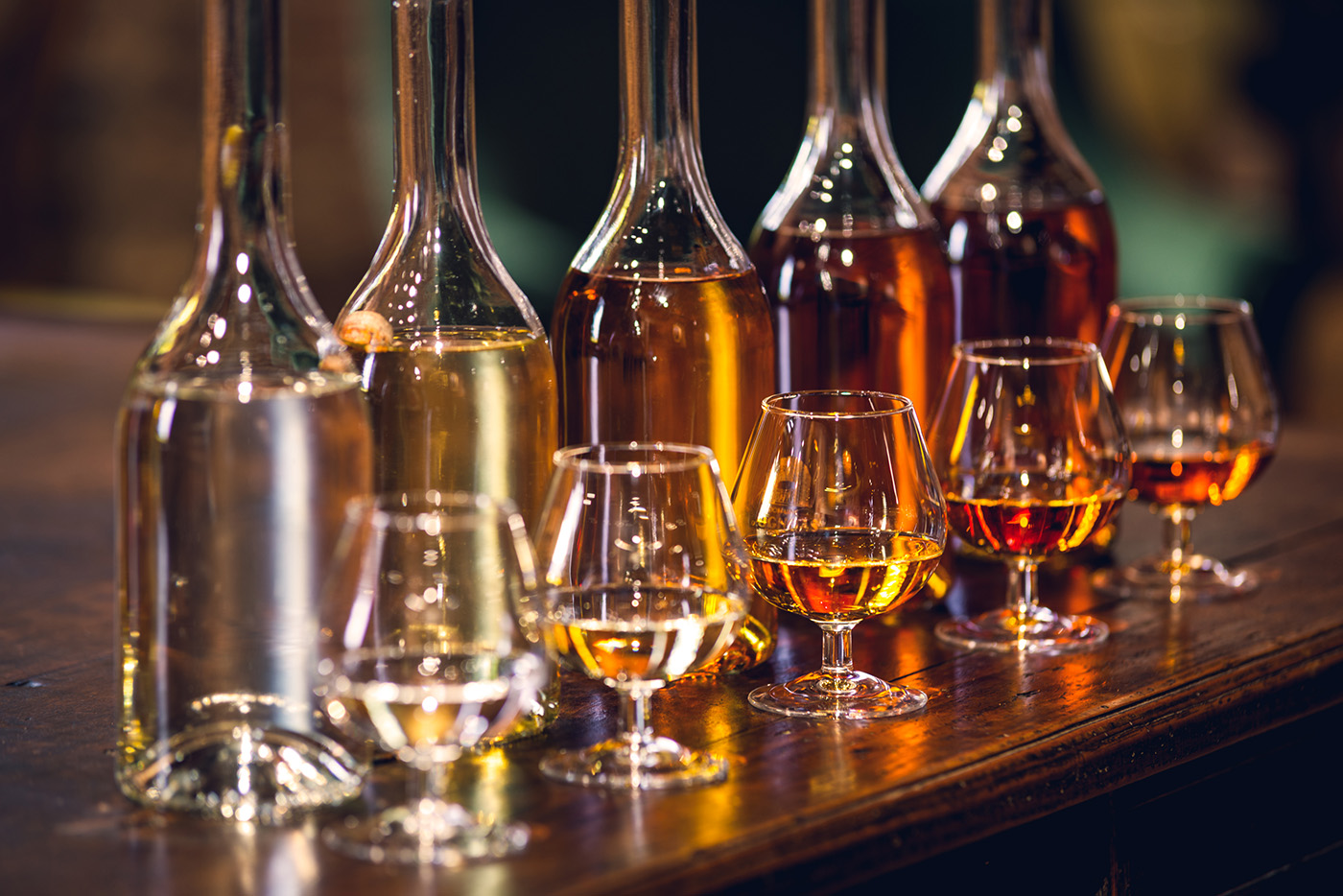 Le Domaine d’Ognoas, fier acteur des Escapades en Armagnac Landais?!